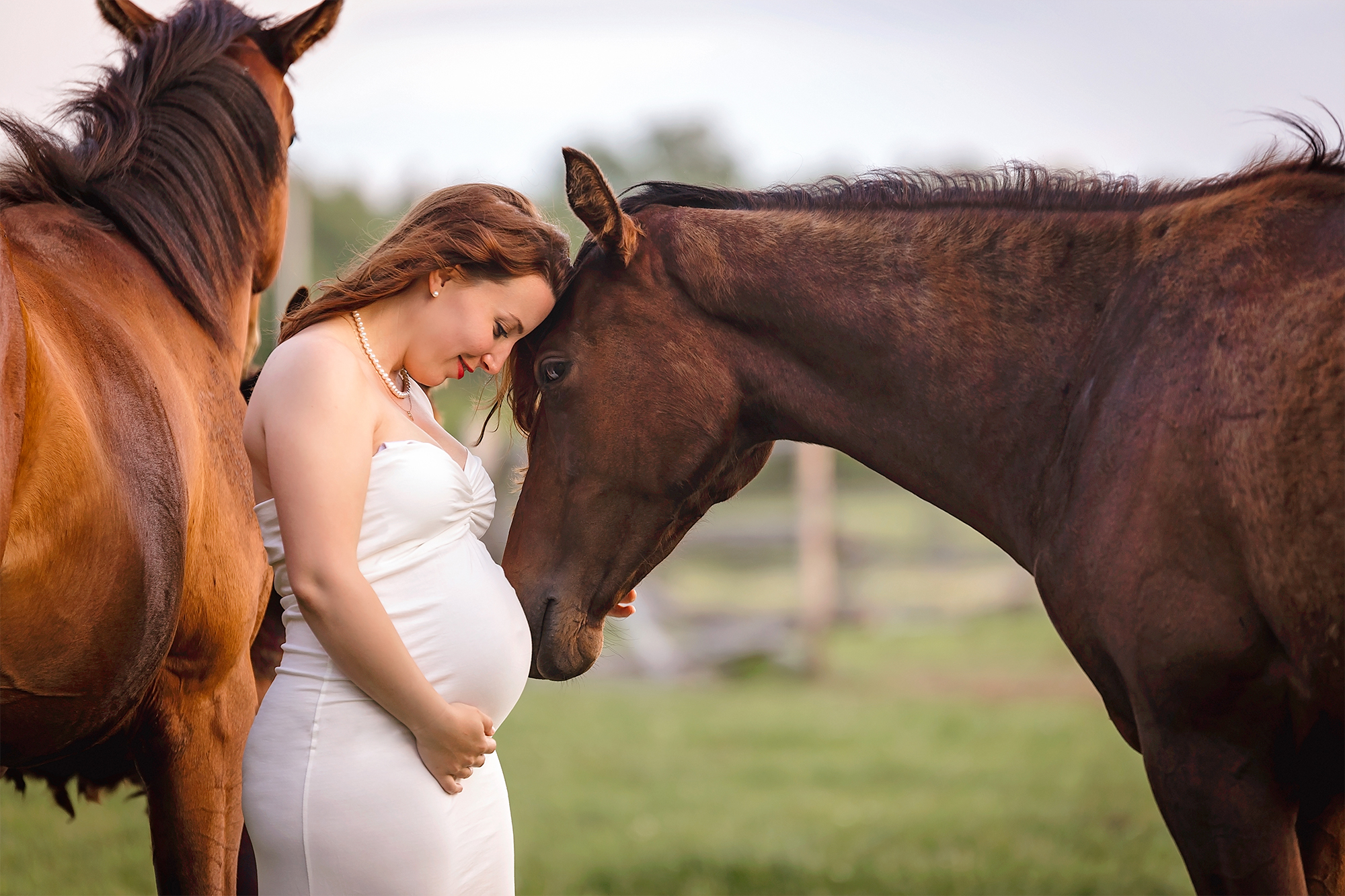 Maternity-Photographer-horsefarm