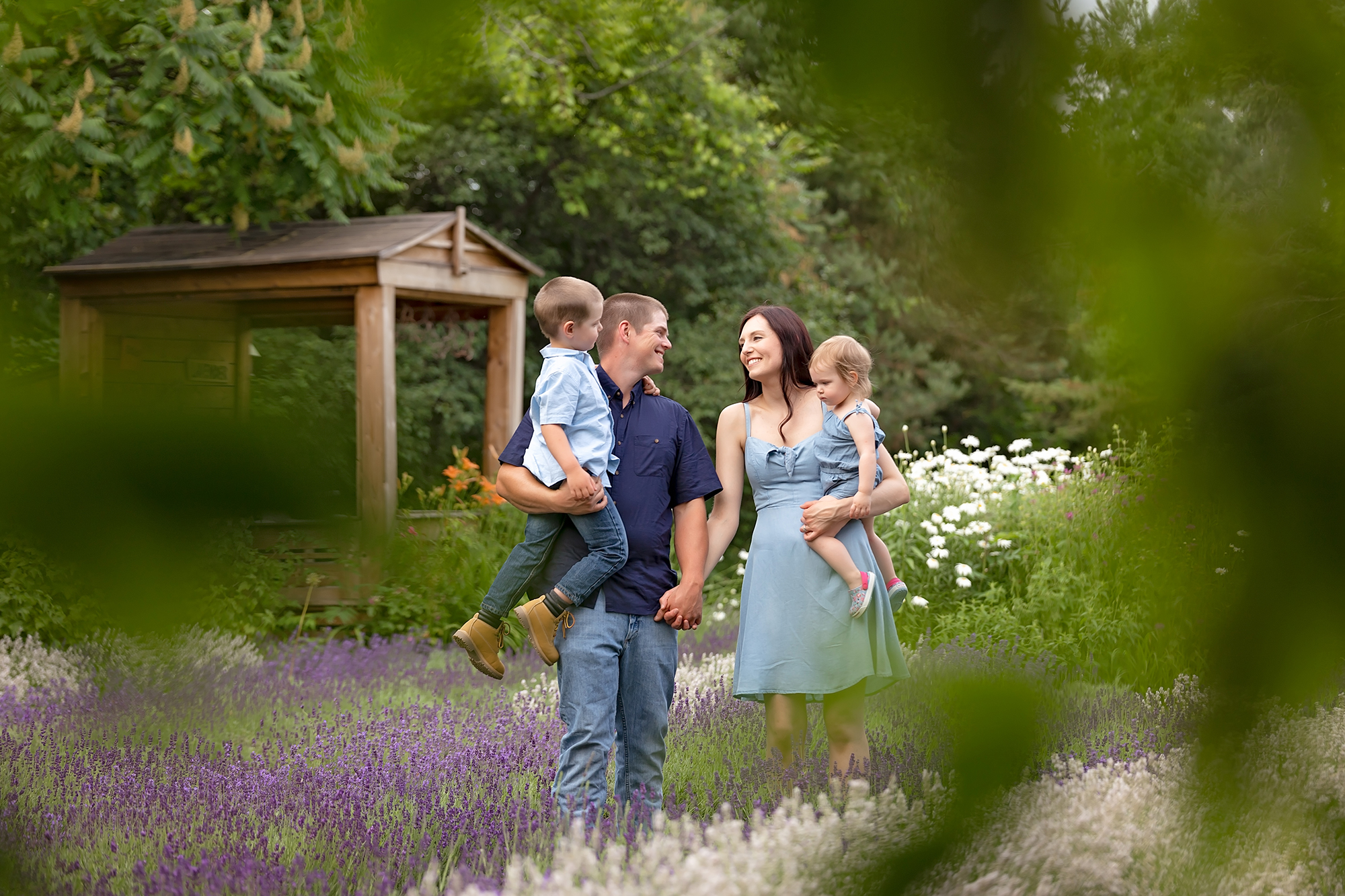 family-session-lavender