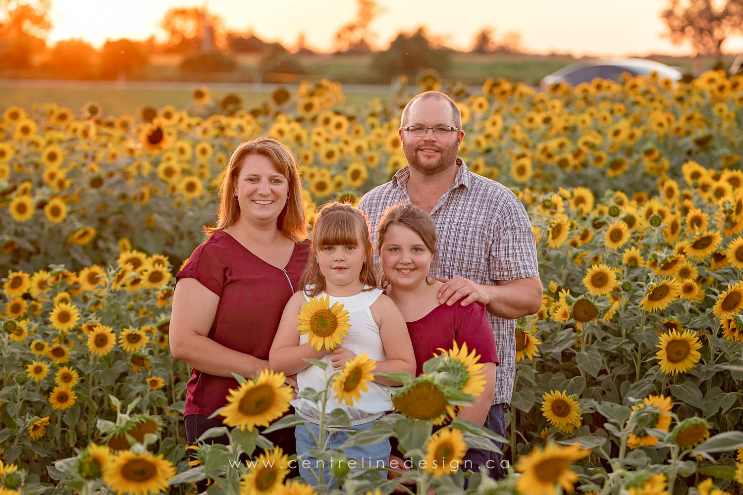 WEB-Holly-Sunflowers-2022-6