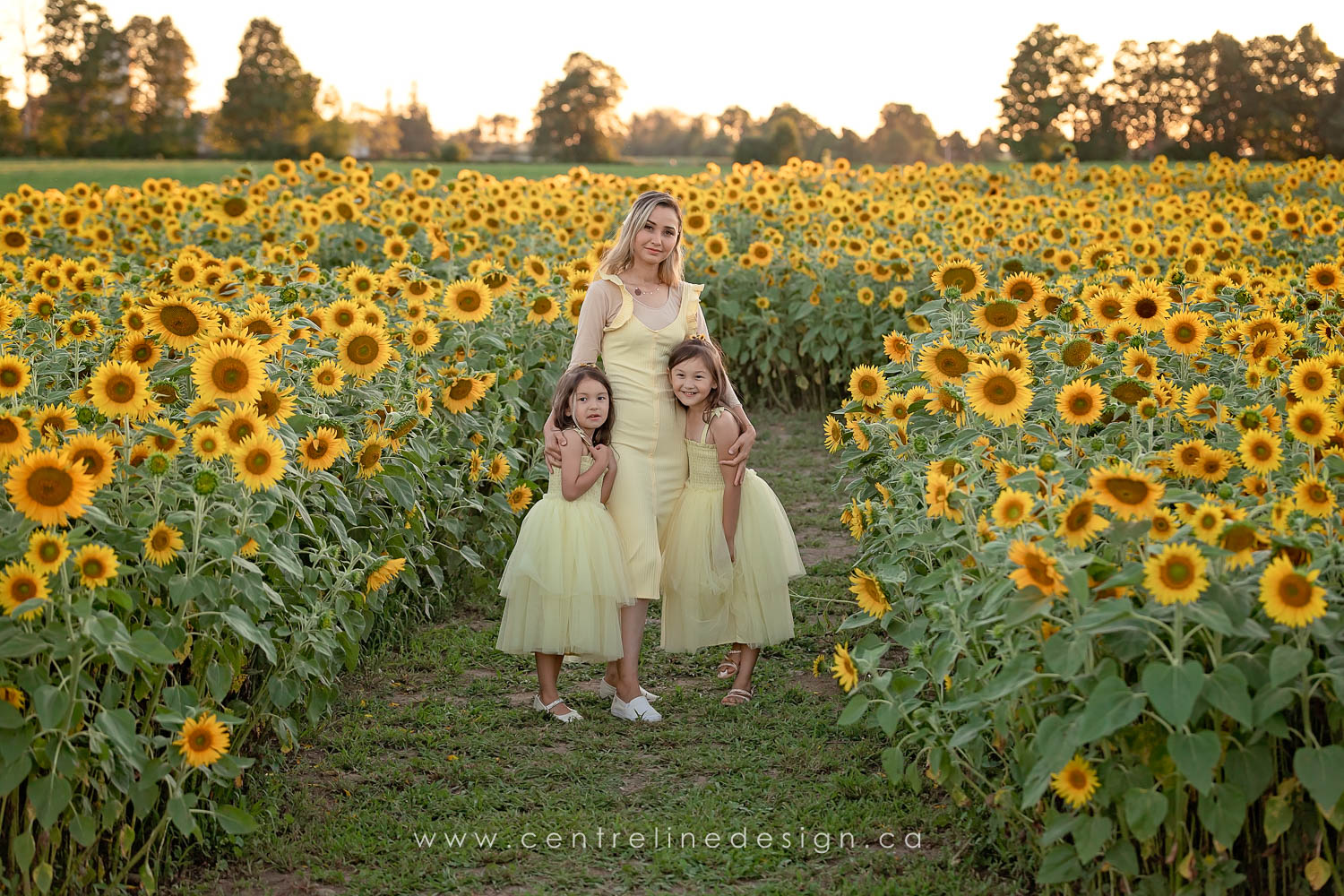 WEB-Naz-Sunflowers-2022-15