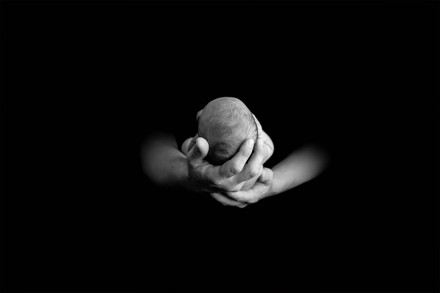 WEB-Phoenix-NewbornSession